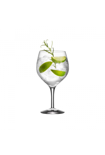 Gin and Tonic Glass (set of 4)