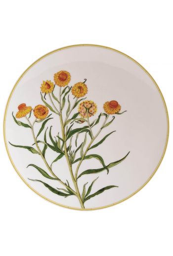 JARDIN INDIEN Coupe plate 10.6''